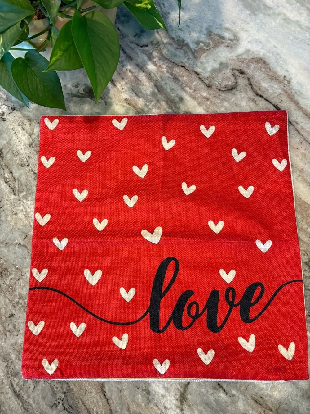 Valentines Day 18x18 Pillow Covers